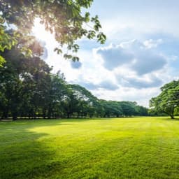 Nielsen's Grove Park